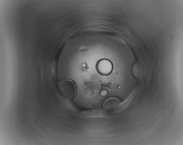 X0000112760175200908201445