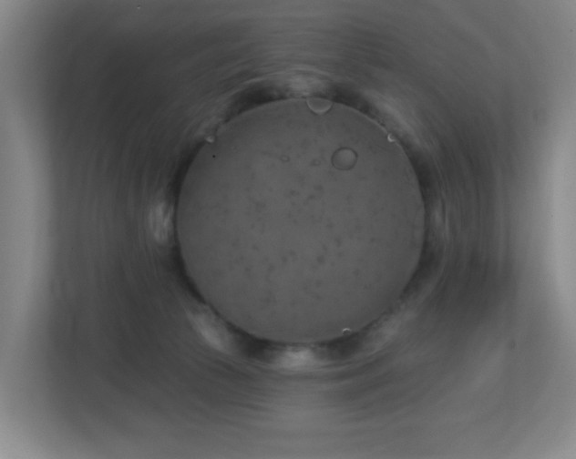 X0000112760177200908201445