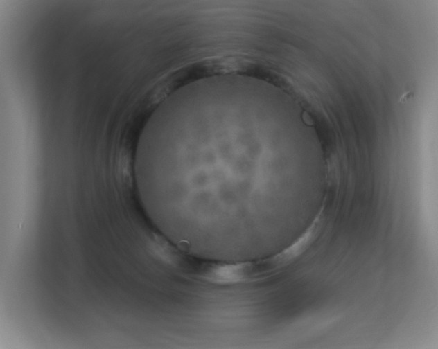 X0000112760178200908201445