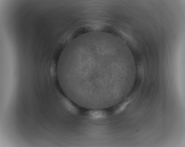 X0000112760181200908201445