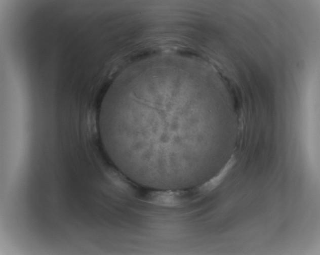 X0000112760182200908201445