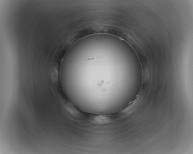 X0000112760183200908201445