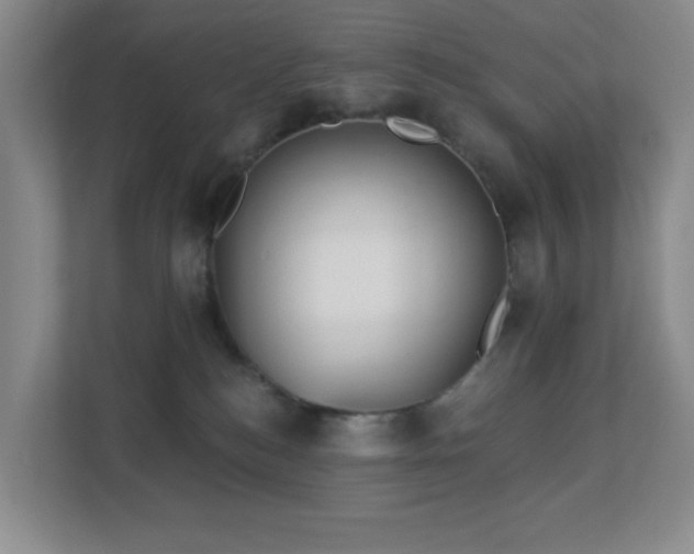 X0000112760184200908201445