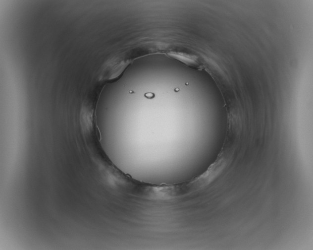 X0000112760188200908201445