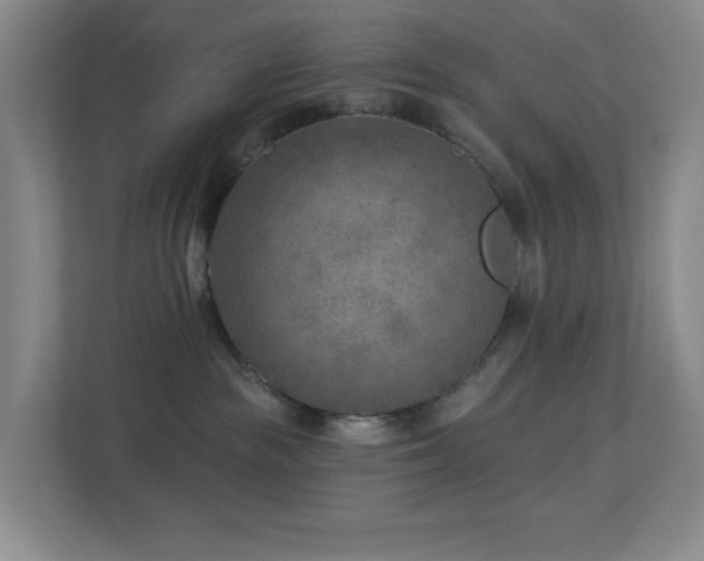 X0000112760189200908201445