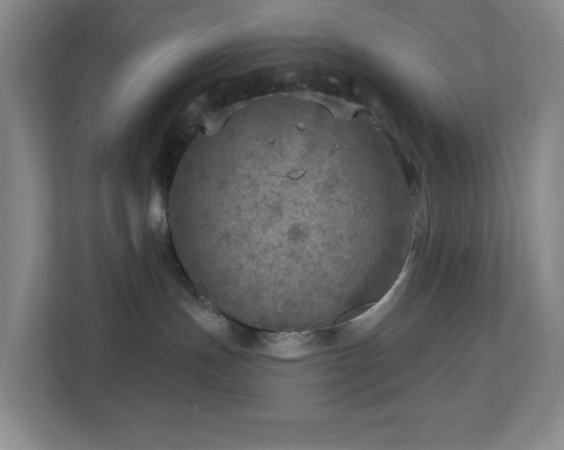 X0000112760191200908201445