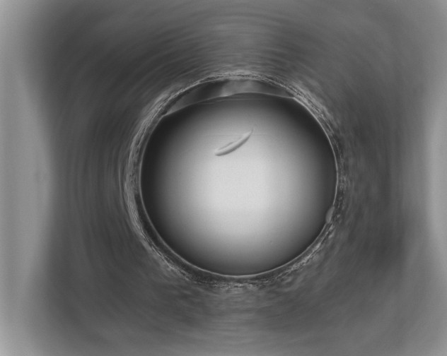 X0000112760193200908201445