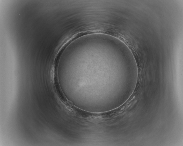 X0000112760194200908201445