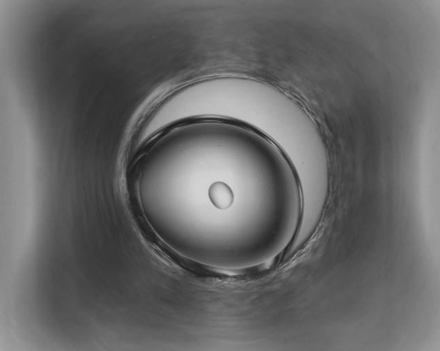 X0000112760197200908201445