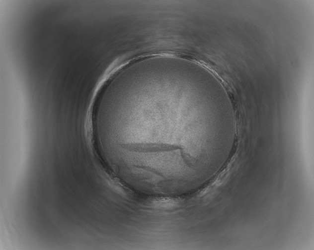 X0000112760198200908201445