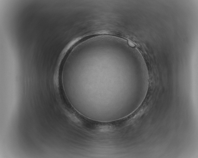 X0000112760200200908201445