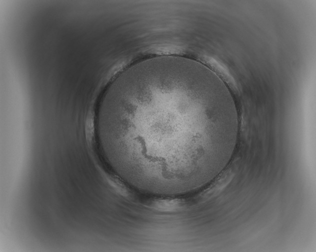 X0000112760202200908201444