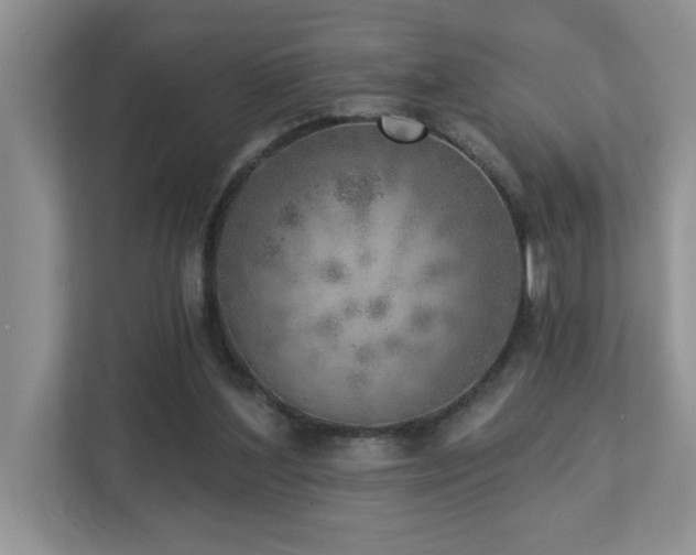 X0000112760204200908201444