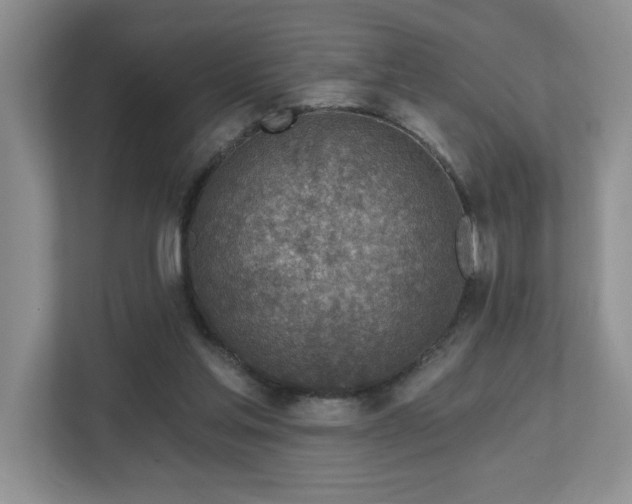 X0000112760205200908201444
