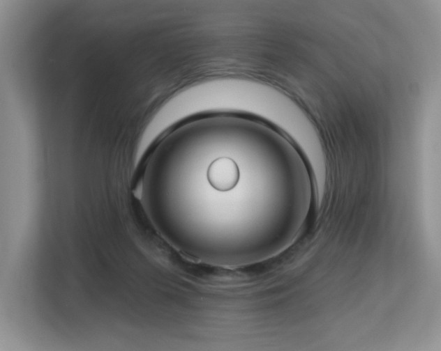 X0000112760215200908201444