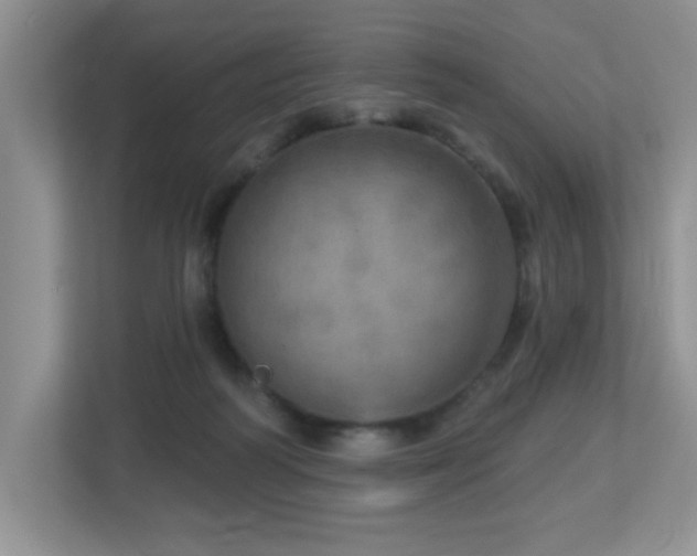 X0000112760218200908201444