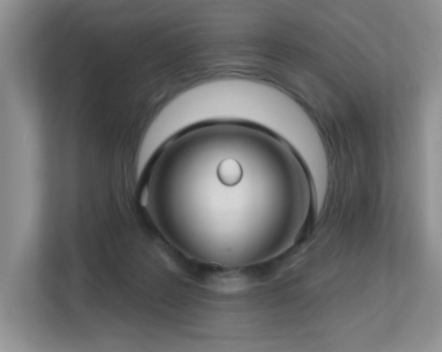 X0000112760219200908201444