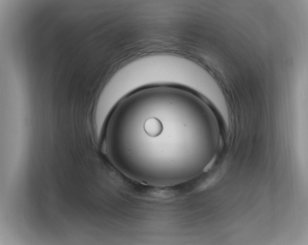 X0000112760221200908201444