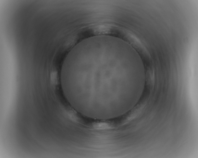 X0000112760224200908201444