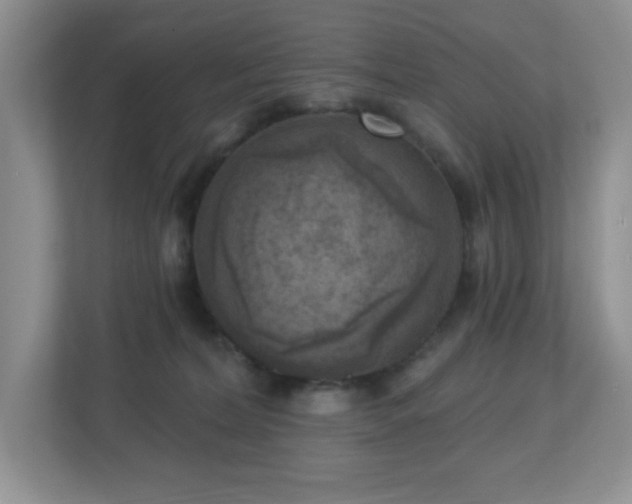 X0000112760228200908201444