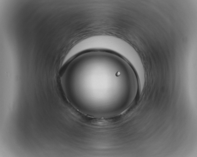 X0000112760229200908201444