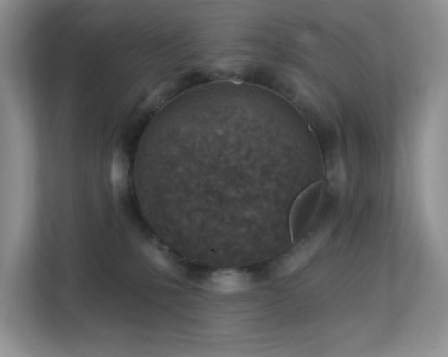 X0000112760231200908201444