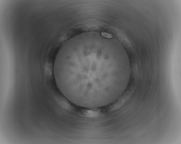 X0000112760232200908201444