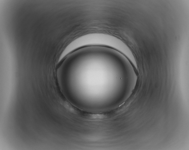 X0000112760233200908201444