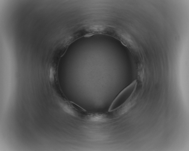 X0000112760235200908201444