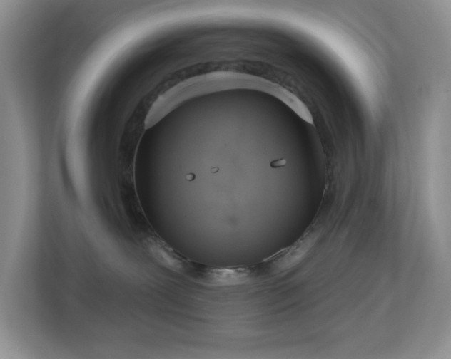X0000112760239200908201444