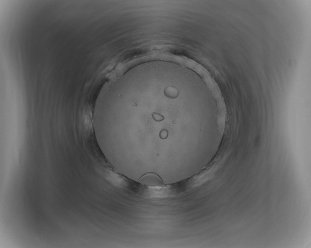 X0000112760240200908201444