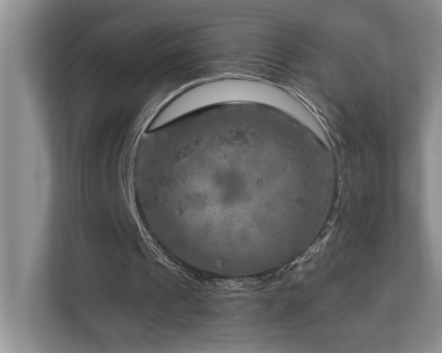X0000112760241200908201443