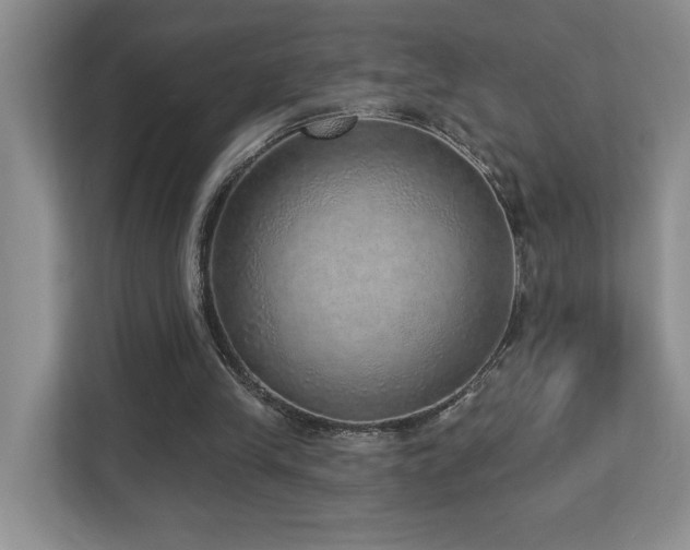 X0000112760245200908201443
