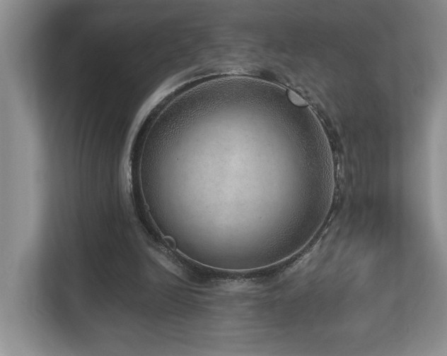 X0000112760246200908201443
