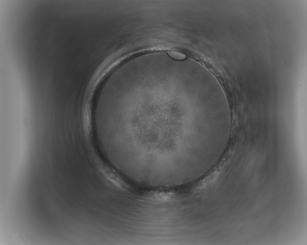 X0000112760247200908201443