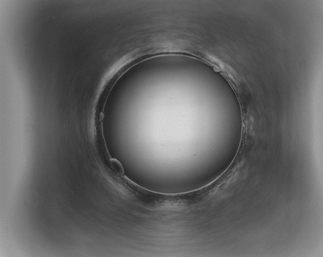 X0000112760248200908201443