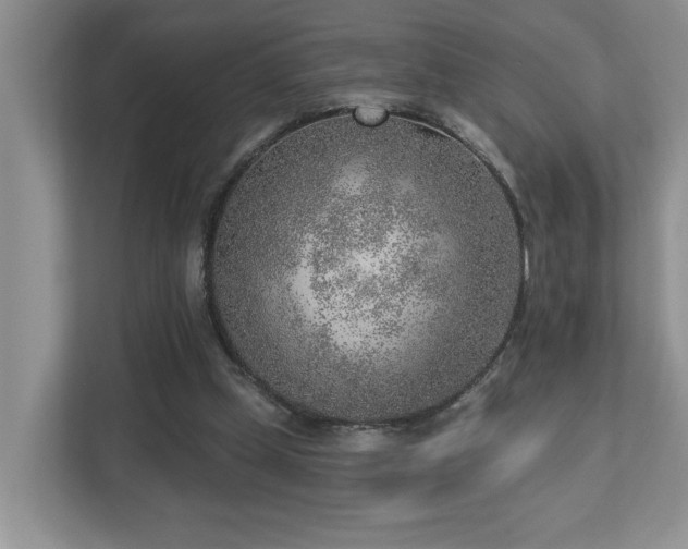 X0000112760249200908201443