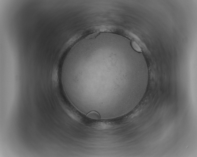 X0000112760250200908201443