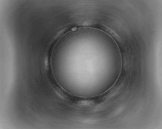 X0000112760251200908201443