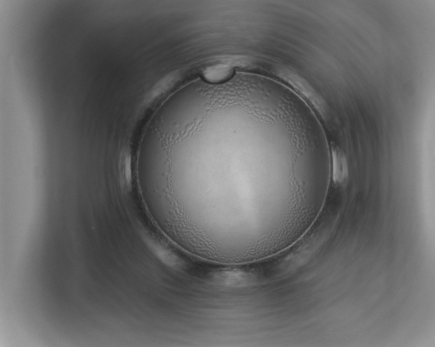 X0000112760253200908201444