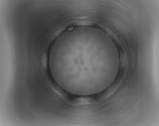 X0000112760255200908201444