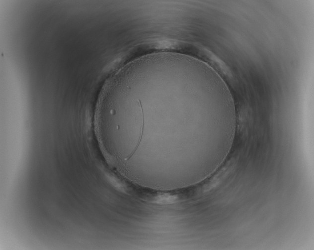 X0000112760257200908201444