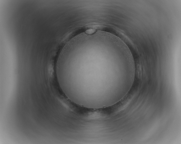 X0000112760259200908201444