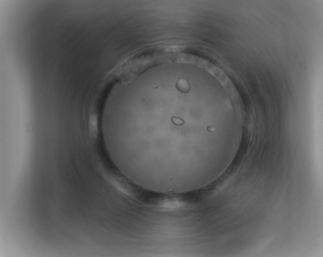 X0000112760262200908201444