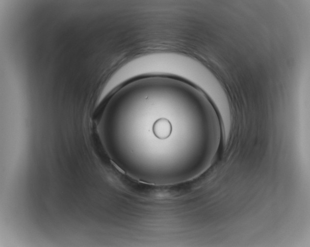 X0000112760264200908201444