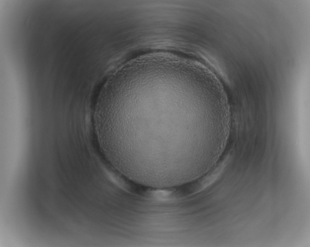 X0000112760265200908201444