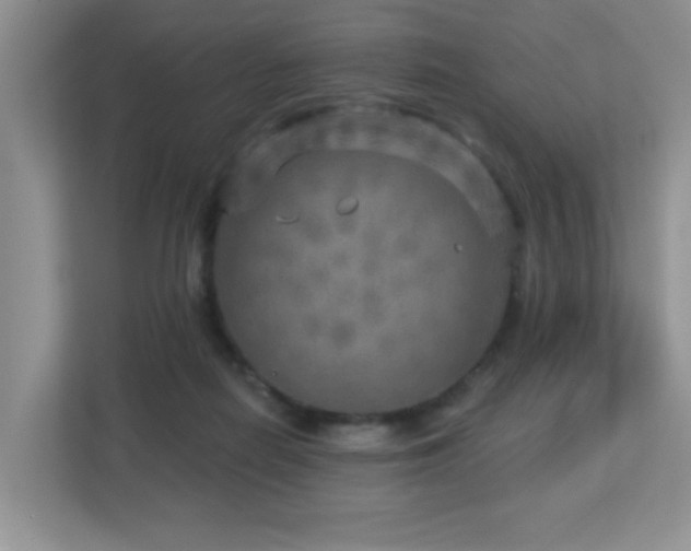 X0000112760266200908201444