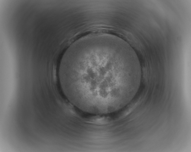 X0000112760267200908201444