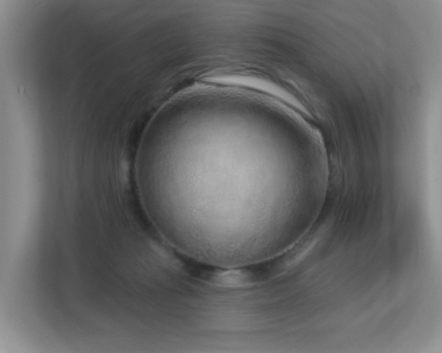 X0000112760269200908201444