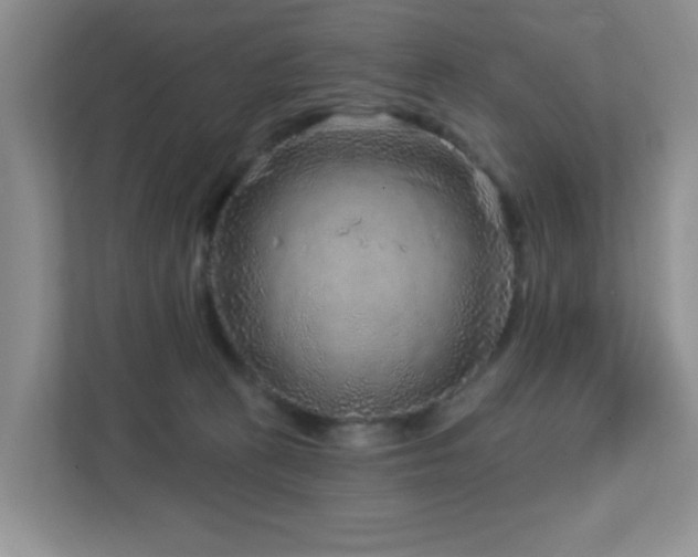 X0000112760273200908201444